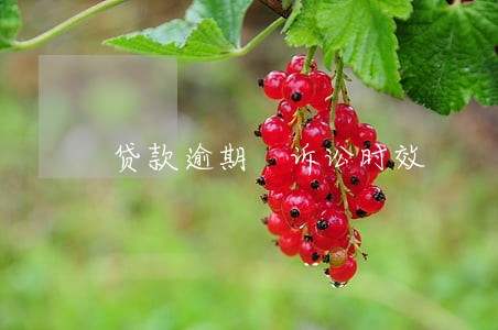 贷款逾期 诉讼时效 贷款逾期 诉讼时效